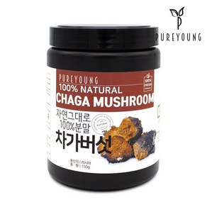 퓨어영 러시아 차가버섯 분말 150g, 5개