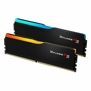 G.SKILL 지스킬 DDR5-6400 CL32 RIPJAWS M5 RGB 96GB(48Gx2), 2개