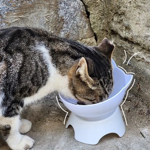 나마스펫 고양이 밥그릇 강아지 물그릇 1구, 1개, 화이트