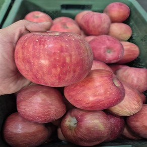[해품농장] 새콤달콤 경북 햇 부사 5kg, 1개, 5kg (중과)