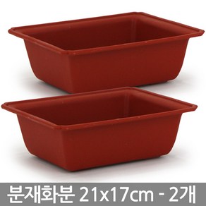 중형 플라스틱 분재 화분 38x23cm - 플분 분재용 플라스틱화분 분재화분 사각화분 실내화분 재배화분 고무분재화분, 02_청운_사각분재(06호) X2개