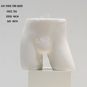 란제리 마네킹 속옷 브래지어 팬티 이너웨어 바스트 피팅 신체 모형 매장 전시, C. 남성 엉덩이 (화이트)