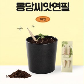 몽당 씨앗연필 2개입, 방울토마토, 2개