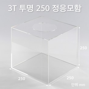 조이사인 정사각 응모함 250x250 / 두께3mm 투표함 모금함 아크릴상자 매장/진열용품, 정응모함 250*250/3T 투명 [J2503ET]