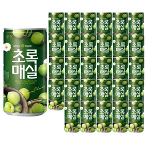 웅진 초록매실 페트, 180ml, 30개