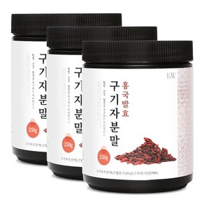 더참된 홍국발효 구기자분말, 3개, 250g