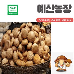 GAP인증 [예산 표고버섯] 산지직송 표고버섯1kg 상품 아기가 좋아하는 표고버섯이유식 동고 중품, 고급형, 1개