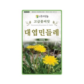 (DN) 대엽민들레(금황색) 씨앗(1000립), 1개