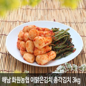 해남화원농협 이맑은김치 총각김치 3kg 5kg, 1개