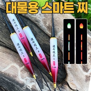 운칠기삼 레드 민물 스마트전자찌 올림찌 대물전자찌 (4타입)(주야겸용), 1호, 1개