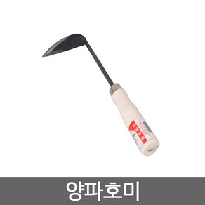 양파호미, 1개