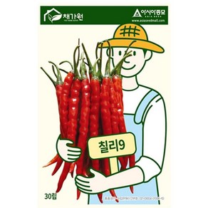 [2개묶음] 칠리9 건강한 고추종자 씨앗 30립 IWBC1B03, 2개