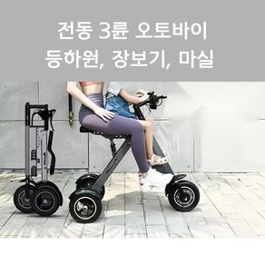 성인용 세발 전동 자전거 여성용, 옵션 참조, 그레이 - 2인용 안장