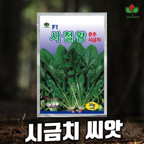 씨드코리아 사철왕 시금치씨앗 - 당도 높은 사계절 재배용, 1개