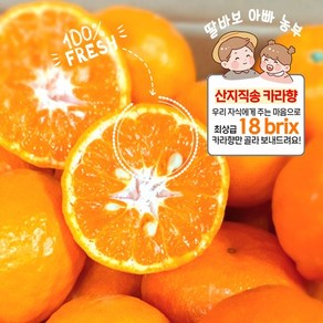[산지 직송] 최대 18bix 제주 특상급 프리미엄 명품 초달달 카라향 선물세트, 1개, 선물용 로얄급 3kg
