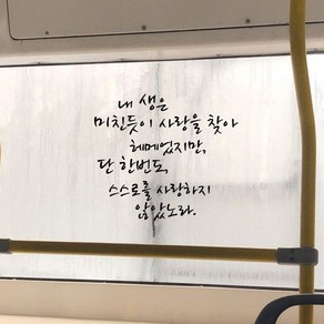 뮤즈 기형도 질투는 나의 힘 캘리그라피 레터링 인테리어 스티커 시트지