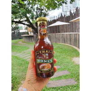 스카이윈드 태국꿀 용안 롱간꿀 honey 타이허니꿀 350ml, 5개