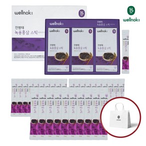 웰녹 전병태 녹용진액 홍삼스틱 30포 + 쇼핑백, 30개, 15ml