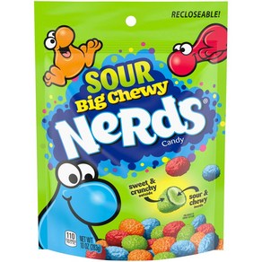 Neds Sou Big Chewy Candy 10 Ounce Pack of 1 Neds 사워 빅 츄이 캔디 10온스 1팩, 1개, 283g