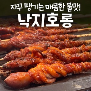 [간편조리] 쫄깃한 낙지호롱 꼬치 캠핑 밀키트 요리 소스증정, 900g, 1개