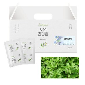 국산 박하잎 민트차 건강즙 진액 엑기스 100ml 30포, 100ml 30봉, 30개