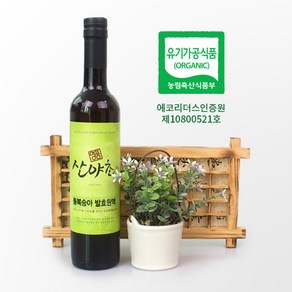 개복숭아 효소 발효액 유기농 이의영 산야초 효소 500ml 돌복숭아, 1개