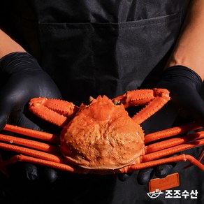 [조조수산]울진 후포리 박달홍게 찜 산지직송 자숙홍게 3kg