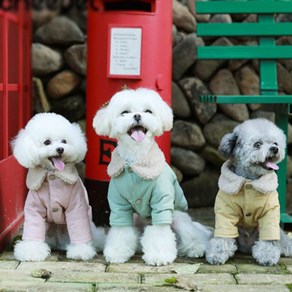 도매창고 양털 야상 점퍼 겨울옷 애견 긴팔 패딩 단추 애견옷 귀여운 큐트 동물 캐주얼 강아지옷 가을옷 올인원 반려동물 애견의류 CP144