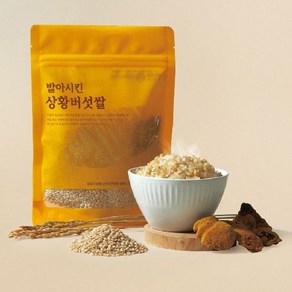 (표2)발아시킨 상황버섯쌀 400g x 8봉, 8개