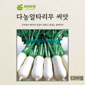 다농 알타리무 씨앗 1200립, 1개