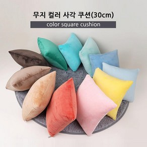 토이웍스 무지컬러 사각쿠션 쇼파쿠션 30cmx30cm 11종