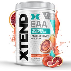 XTEND 싸이베이션 EAA 엑스텐드 EAA XTEND EAA + BCAA 아미노산 파우더 40 서빙, 1개