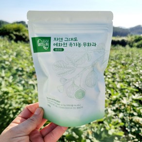 [여화원]국산 유기농 반건조 청무화과 100g /건무화과/무화과/건과일/과일말랭이/청무화과 말랭이/건조과일/말린무화과/ 유기농무화과, 1개, 100g(지퍼팩)