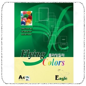 [삼원]플라잉칼라 A4 / 120g / 20매입 / E07.밝은노랑색 / A4색지