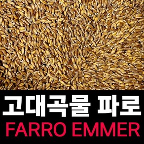 최신거로 드세요 FARRO 파로 (엠머 밀) 고대곡물, 3개, 1kg