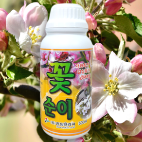 꽃순이 개화촉진제 500ml, 1개