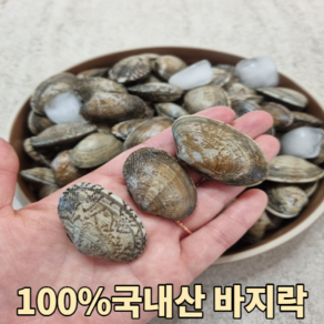 산지직송 100%국내산 바지락 1kg 2kg 5kg 10kg 조개 바지락 바지락살, 1개