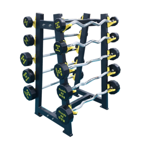 헬스 중량 이지일자바 컬바 바벨세트 정리대 10종, 선택6) 컬바10kg, 1개