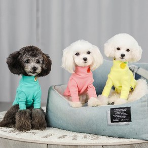 도그월드 강아지옷 사계절 마카롱 티셔츠, 02 데일리 마카롱티, 보라, 1개