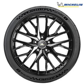 미쉐린 PILOT SPORT CUP2R 285/35R19 MO1 A 103Y, 1개