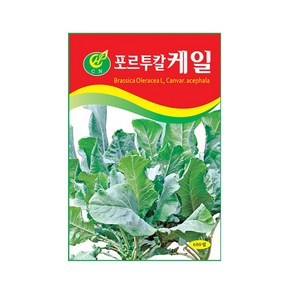 (CN) 포르투칼케일 씨앗 (600립), 1개