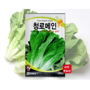 맛있는 청로메인 상추 씨앗 종자 잘무르지 않는 상추종자 씨앗, 1개