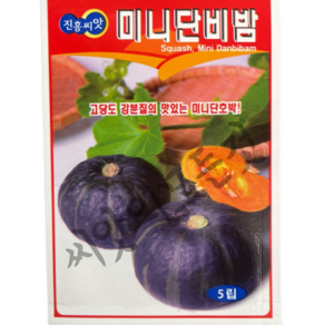 미니단비밤호박씨앗5립 맛있는단호박종자 진흥, 1개