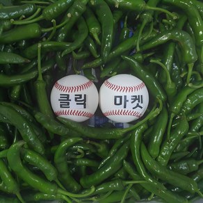 클릭마켓 국내산 매운 고추 청양고추 땡초 1kg 2kg 5kg, c청양고추 10kg 상, 1개