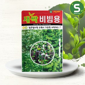 솔림텃밭몰 새싹비빔용씨앗 30g 새싹비빔용 새싹채소 전용씨앗, 1개