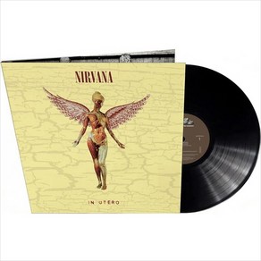 (수입2LP) Nivana - In Uteo (30th Annivesay) (180g) (Gatefold)