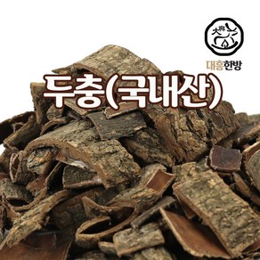 대흥한방 두충 300g 국내산, 1개