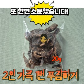 건조 육수용 능이버섯 20g 소규모가족을 위한 작은양