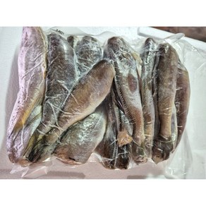 반건조 두절 참조기 깨끗한 손질 맛있는 간 목포거시기수산, 1개, 1kg, 대(21미내외)