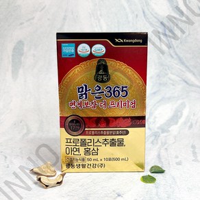 광동 맑은365 면역보감 더 프리미엄 10포 t, 500ml, 1개